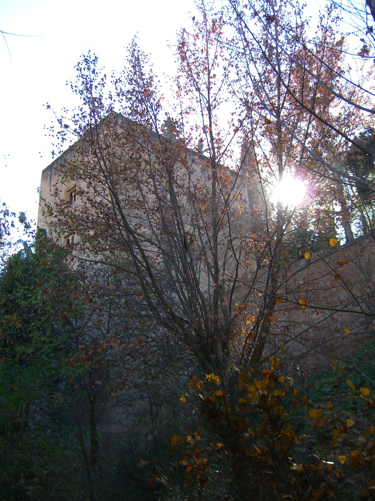 Granada 15
